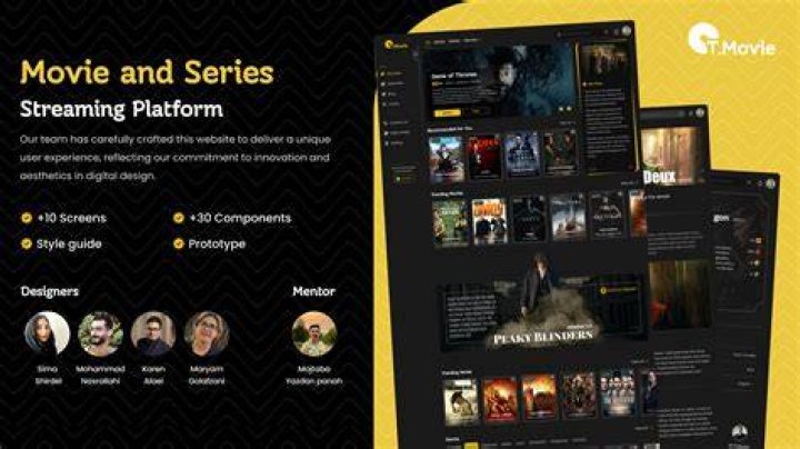 Movie streaming platform interface